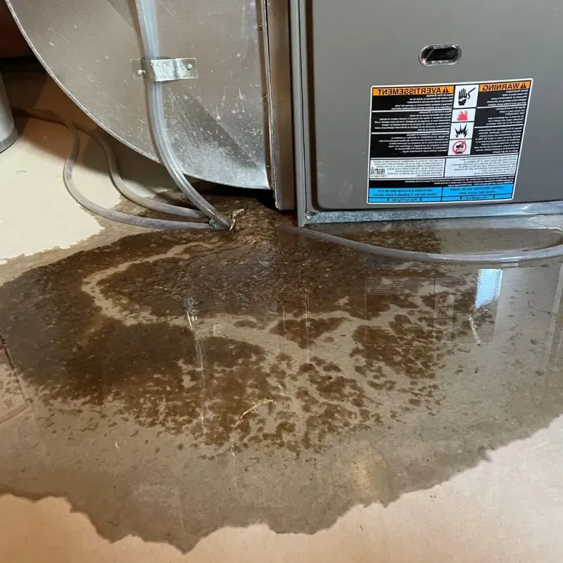 Pipe Burst and Leak Restoration in Belleville, PA