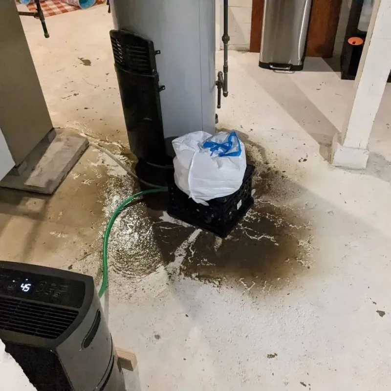 Sewage Backup Cleanup Service in Belleville, PA